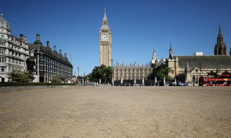 Photo taken on Aug. 13, 2022 shows a view of the lawn in Parliament Square in London, Britain. A drought was officially declared on Friday across a large swathe of England, amid a new heatwave and prolonged dry weather.  Photo: Xinhua