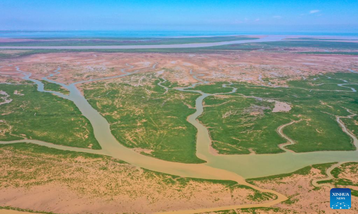 Aerial photo taken on Aug 17, 2022 shows the wetland at the Yellow River Delta National Nature Reserve in Dongying, east China's Shandong Province. Photo:Xinhua