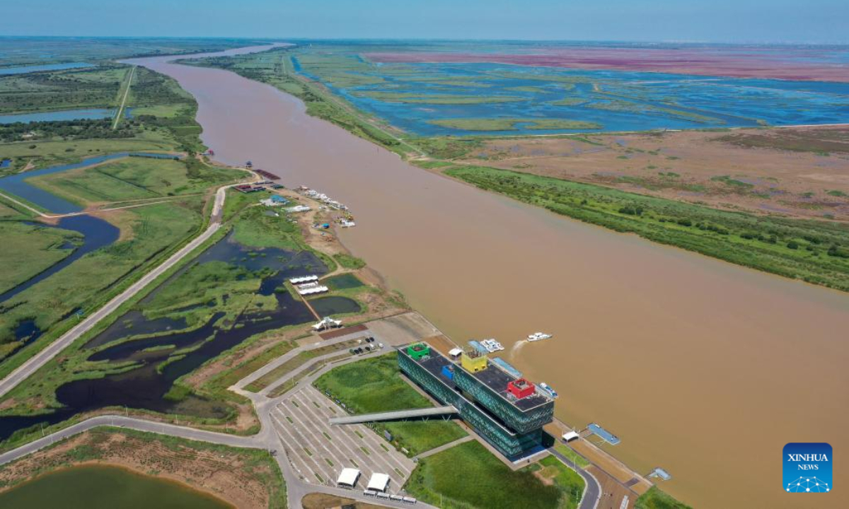 Aerial photo taken on Aug 17, 2022 shows the wetland at the Yellow River Delta National Nature Reserve in Dongying, east China's Shandong Province. Photo:Xinhua