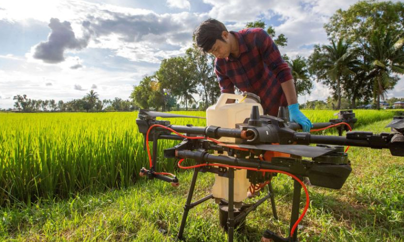A Thai farmer checks a DJI agricultural drone in Roi Et, Thailand, on Aug. 1, 2022. China-made agricultural drones are seen flying over grainfields in this southeast Asian country to help local farmers produce more efficiently, conveniently, and safely. (Xinhua/Wang Teng)