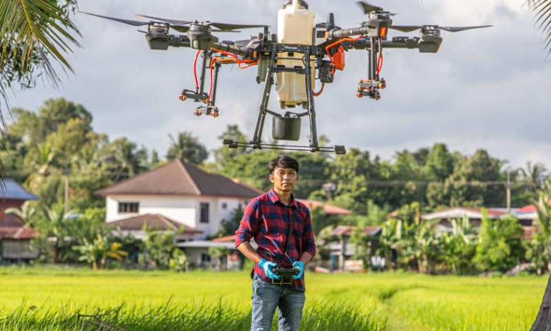 A Thai farmer operates a DJI agricultural drone in Roi Et, Thailand, on Aug. 1, 2022. China-made agricultural drones are seen flying over grainfields in this southeast Asian country to help local farmers produce more efficiently, conveniently, and safely. (Xinhua/Wang Teng)