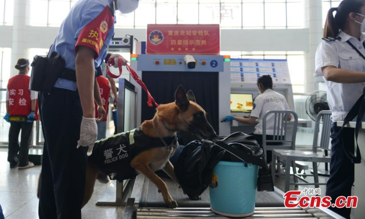 A police dog checks luggage at Chongqing North Station in Chongqing, Aug 18, 2022. Photo:China News Service