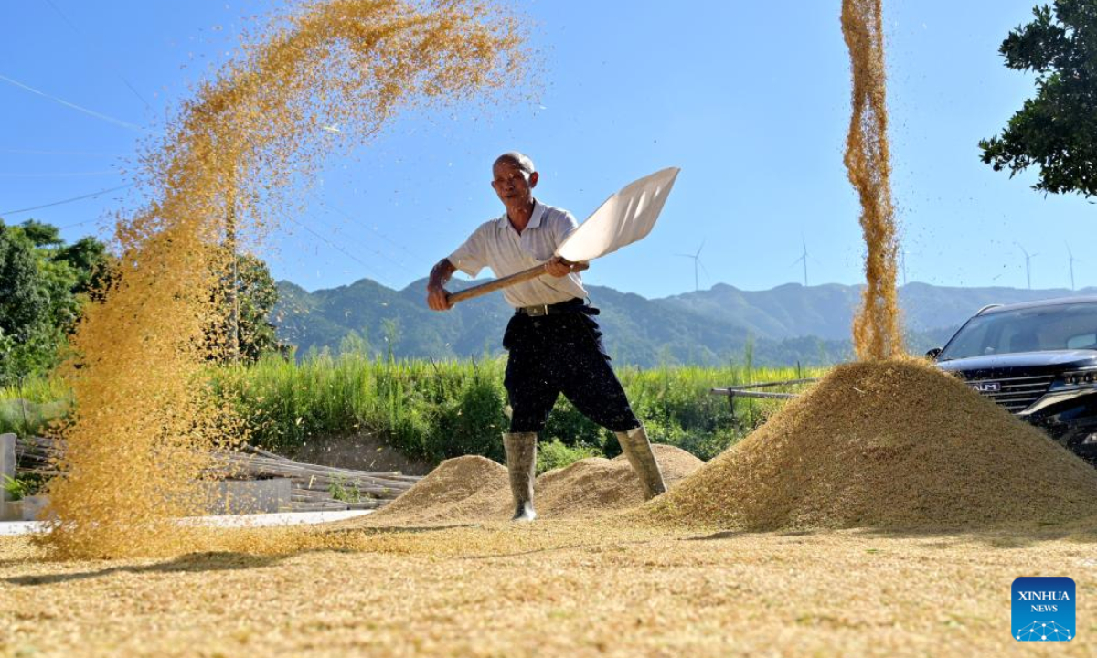 A farmer airs reaped grain in Tongliang Village of Shuangfeng County, central China's Hunan Province, Aug 12, 2022. Photo:Xinhua