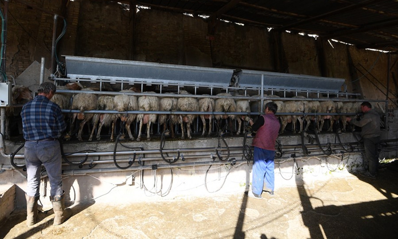 Workers work in a farm in the Caffarella Park in Rome, Italy, April 16, 2020.(Photo: Xinhua)