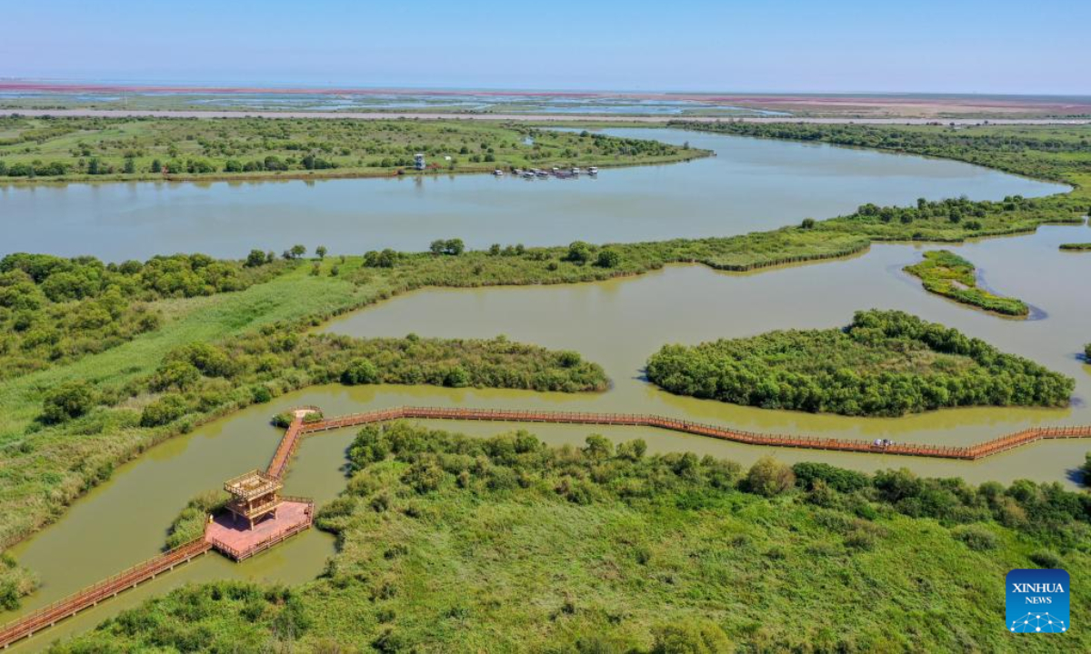 Aerial photo taken on Aug 17, 2022 shows the wetland at the Yellow River Delta National Nature Reserve in Dongying, east China's Shandong Province. Photo:Xinhua