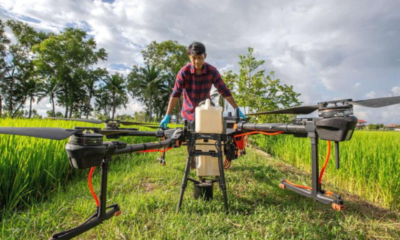 A Thai farmer checks a DJI agricultural drone in Roi Et, Thailand, on Aug. 1, 2022. China-made agricultural drones are seen flying over grainfields in this southeast Asian country to help local farmers produce more efficiently, conveniently, and safely. (Xinhua/Wang Teng)