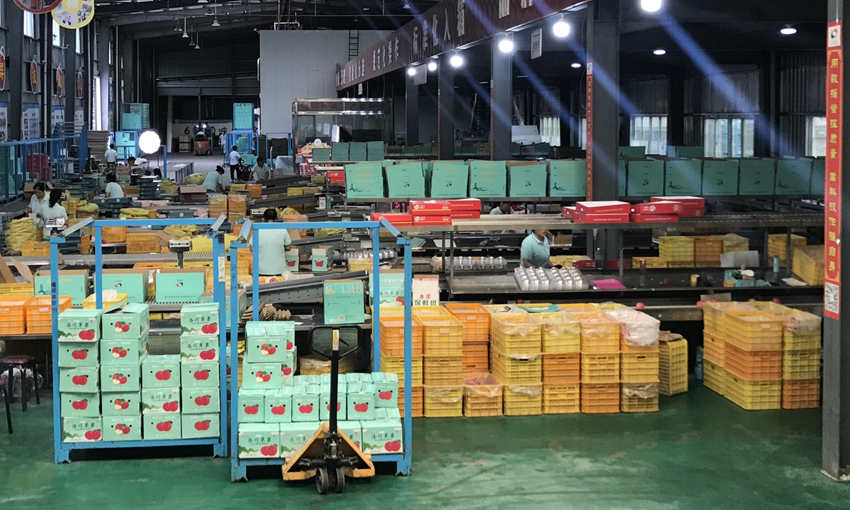 An apple selection and packaging plant in Luochuan of Yan'an, Northwest China's Shaanxi Province   Photo: Zhang Han/GT