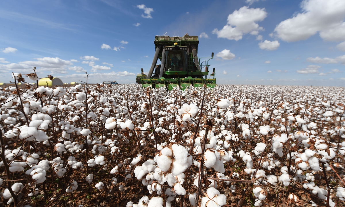 A combine harvests cotton in a field at Pamplona farm in Cristalina, Brazil, on July 14, 2022. Photo: AFP