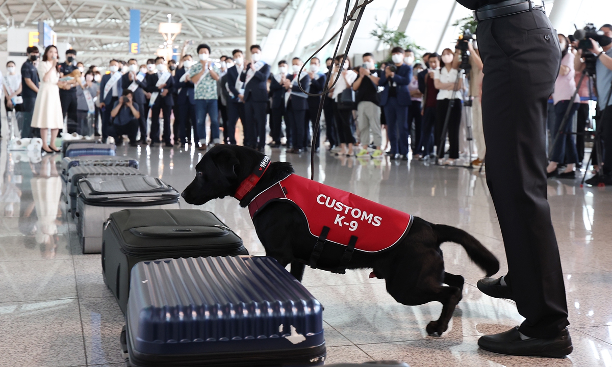 A drug detection dog checks lugggage as part of the Korea Customs Service's efforts to prevent drug smuggling, at Incheon International Airport in Incheon, South Korea, on August 11, 2022. Photo: VCG
