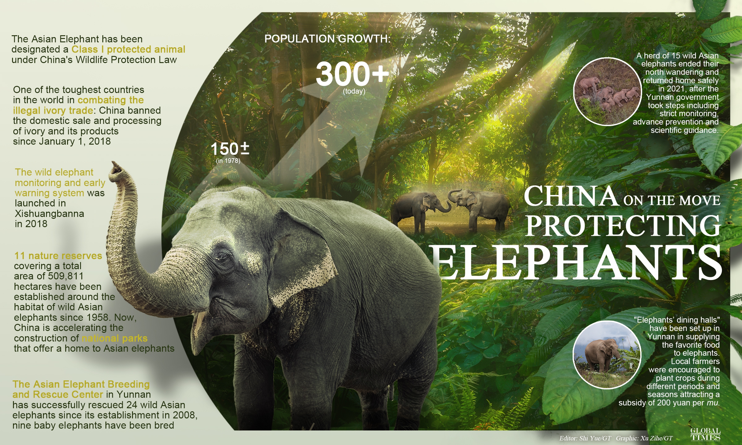 Protecting elephants, China on the move Graphic:Xu Zihe/GT