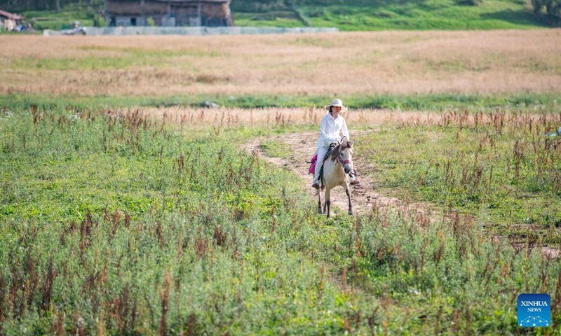 A tourist rides a horse in Hongchiba scenic area in Wuxi County of southwest China's Chongqing, Aug. 10, 2022. Based on its abundant natural resources and picturesque scenery, Wuxi County has scaled up efforts to boost local tourism.(Photo: Xinhua)
