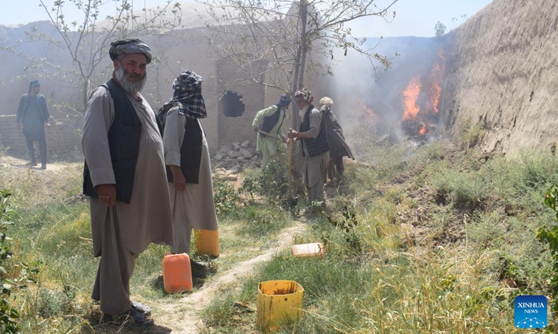 People battle a natural fire in a residential area in Jawzjan province, Afghanistan, on Aug. 10, 2022. At least 50 residential houses have been burned to ashes by natural fire in the northern province of Jawzjan since Monday, provincial police chief Damullah Serajuddin Ahmadi said Wednesday.(Photo: Xinhua)
