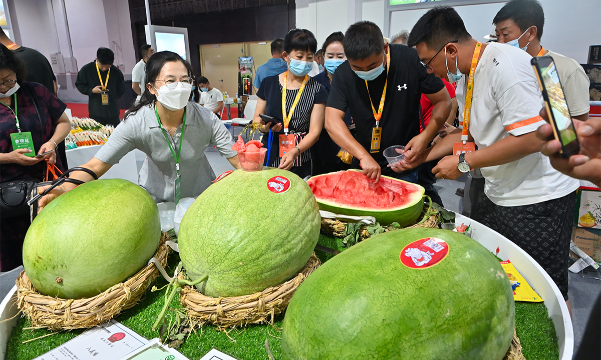 Consumers try pieces of a watermelon that weighs over 50 kilograms at an expo in Hohhot, capital of North China's Inner Mongolia Autonomous Region on August 13, 2022. The watermelon was grown in Inner Mongolia. The three-day 31st Inner Mongolia agricultural expo was held the same day, with over 700 booth taking part. Photo: cnsphoto