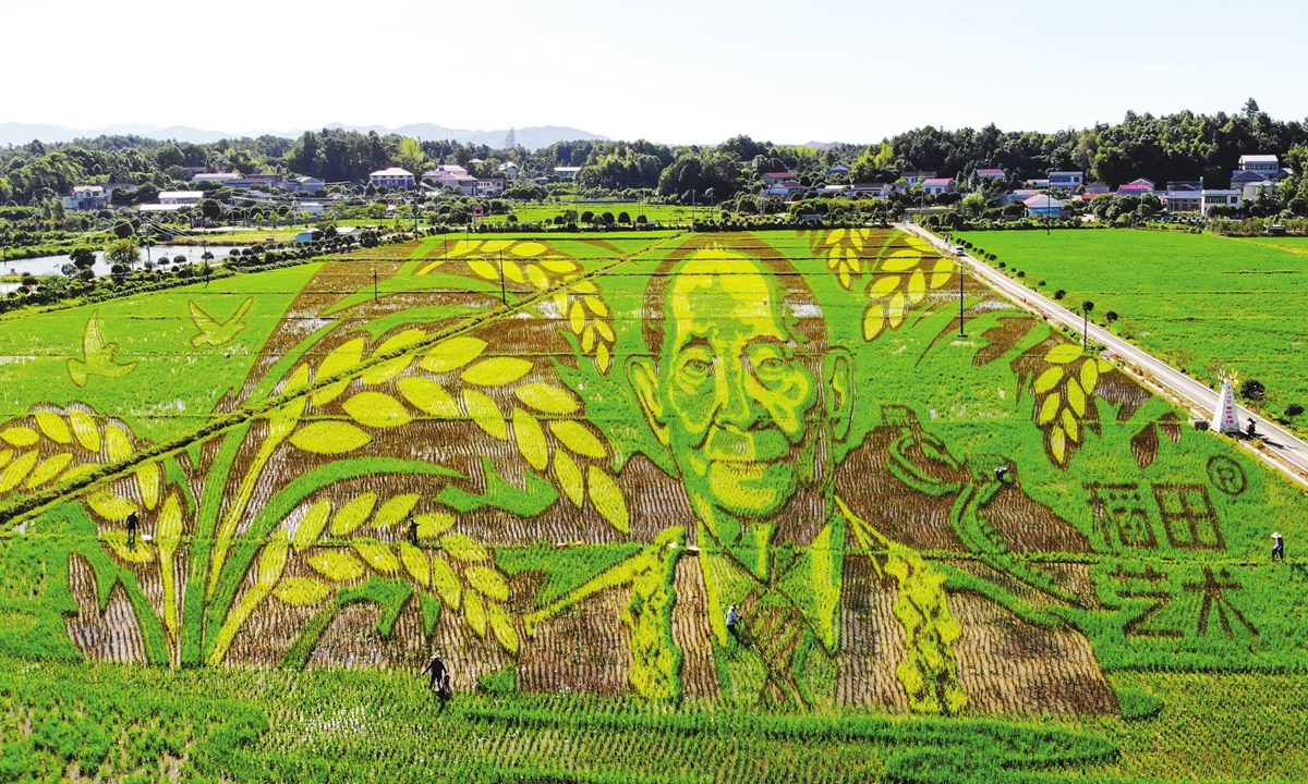A giant image of Yuan Longping, the father of hybrid rice in China, is shown in a paddy field in Wufu village, Changsha, Central China's Hunan Province on August 13, 2022. The painting is completed with the participation of more than 300 local villagers and professionals over a month to commemorate Yuan's contribution. Photo: IC