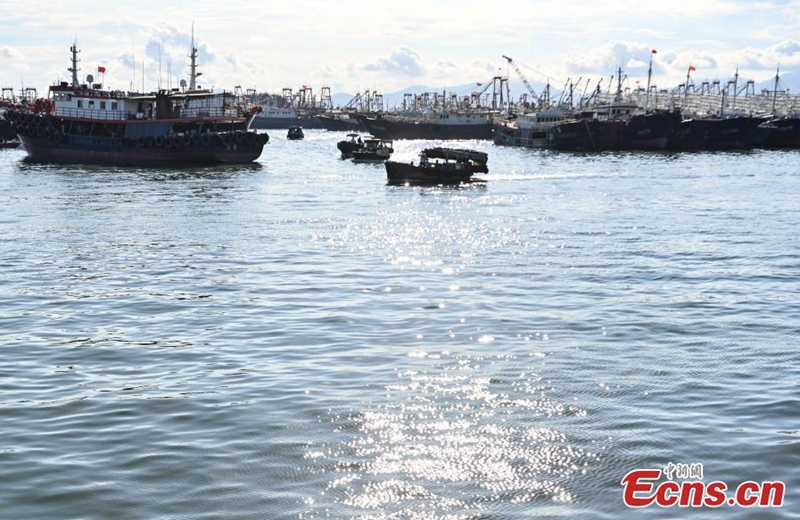 Fishing boats berth at Zhapo port of Hailing island in Yangjiang city, south China's Guangdong Province, Aug. 15, 2022. (Photo: China News Service/Chen Jimin)