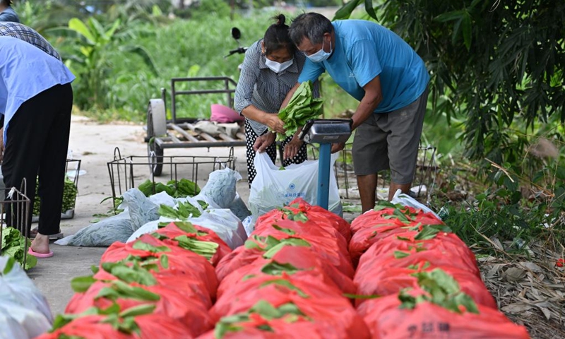 Farmers of a farming cooperative package newly-picked vegetables in Sanya, south China's Hainan Province, Aug. 22, 2022. The local government has strived to ensure the production, transportation, and sale of farming products while combating COVID-19. (Xinhua/Guo Cheng)