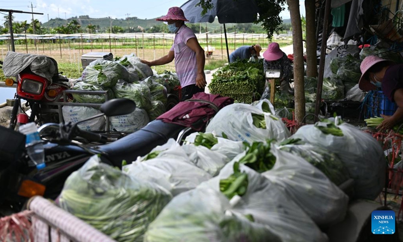 Farmers of a farming cooperative load packaged vegetables in Sanya, south China's Hainan Province, Aug. 22, 2022. The local government has strived to ensure the production, transportation, and sale of farming products while combating COVID-19. (Xinhua/Guo Cheng)