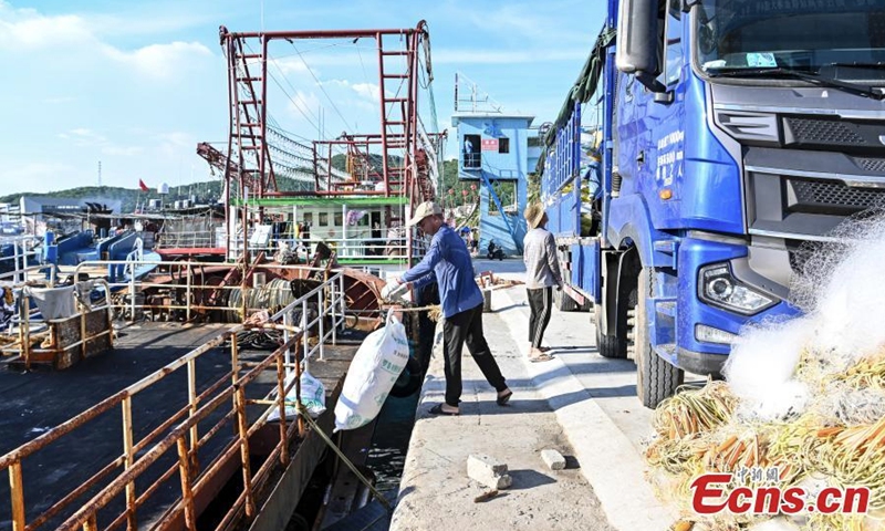 2022年8月15日，在中国南方广东省阳江市海陵岛闸坡港，渔民将渔网装载到船只上。（照片：中新社/陈继民）