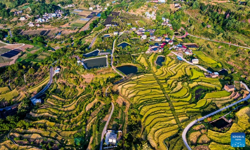 Aerial photo taken on Aug. 16, 2022 shows the scenery of Shiping Village of Sansheng Town, Beibei District, southwest China's Chongqing. (Xinhua/Wang Quanchao)