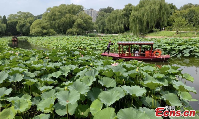 Tourists take boat to appreciate lotus flowers at Zizhuyuan (Purple Bamboo)Park in Beijing, Aug. 17, 2022. Visitors can enjoy a close look at the flowers by riding a boat in the ponds during the summer season. (Photo: China News Service/Zhao Jun)