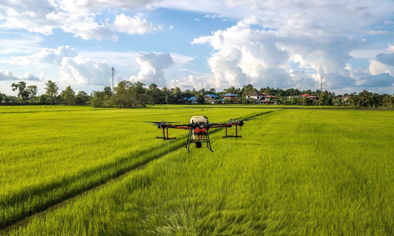 Aerial photo taken on Aug. 1, 2022 shows a DJI agricultural drone spraying pesticides in Roi Et, Thailand.(Photo: Xinhua)
