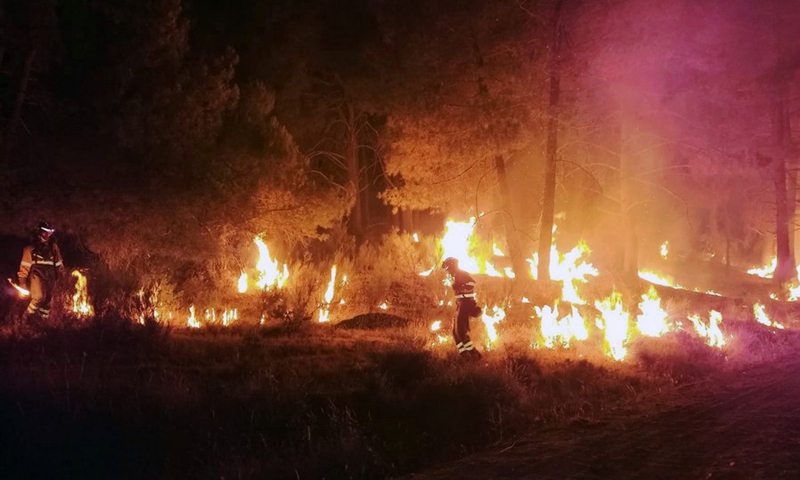 Firefighters battle a wildfire in Cebreros, Castilla y Leon, Spain, July 21, 2022.(Photo: Xinhua)