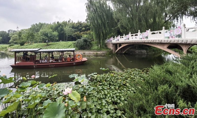 2022年8月17日，游客乘船在北京紫竹园（紫竹）公园赏荷。夏季，游客可以在池塘中乘船近距离观赏荷花。  （图片：中新社/赵军）