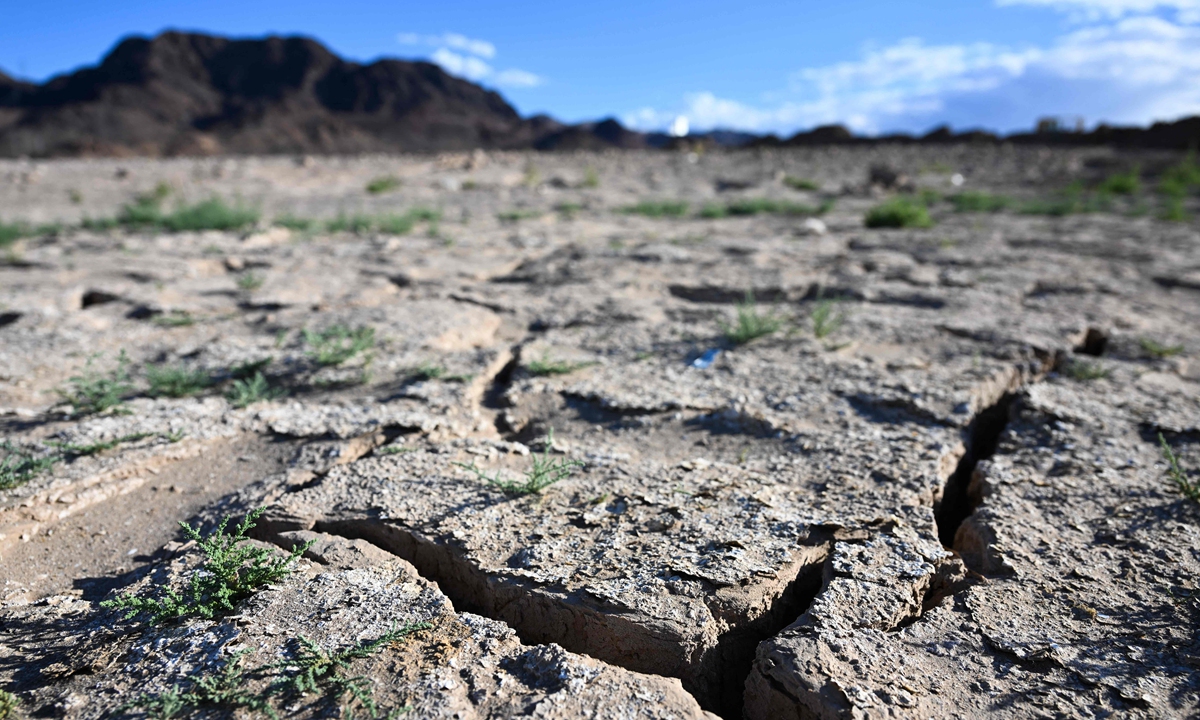 In this file photo taken on June 28, 2022 plants grow from an exposed lakebed cracking and drying out during low water levels due to the western drought on Lake Mead along the Colorado River in Boulder City, Nevada. Some US states and Mexico must cut their water usage to avoid catastrophic collapse of the Colorado River, Washington officials said August 16, 2022, as a historic drought bites. Photo: VCG
