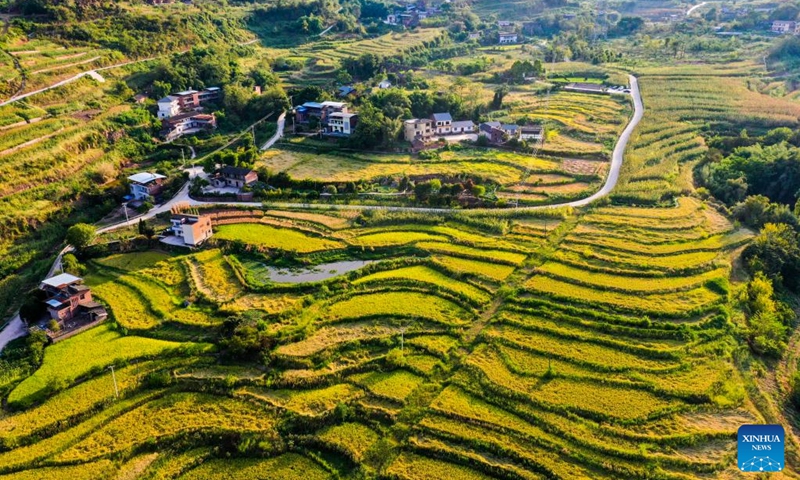 Aerial photo taken on Aug. 16, 2022 shows the scenery of Shiping Village of Sansheng Town, Beibei District, southwest China's Chongqing. (Xinhua/Wang Quanchao)