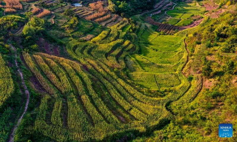 Aerial photo taken on Aug. 16, 2022 shows the scenery of Shiping Village of Sansheng Town, Beibei District, southwest China's Chongqing. (Xinhua/Wang Quanchao)