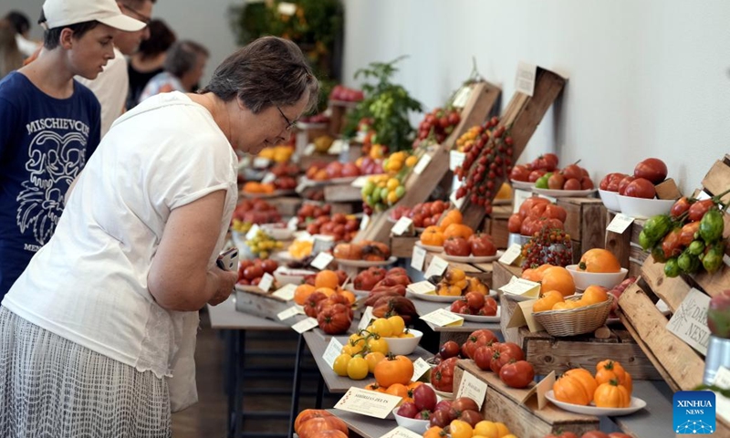 People visit the Tomatoes 2022 exhibition in Latvian Museum of Natural History in Riga, Latvia, Aug. 17, 2022. The exhibition kicked off on Wednesday and will last until Aug. 21. More than 300 different varieties of tomatoes are on display.(Photo: Xinhua)
