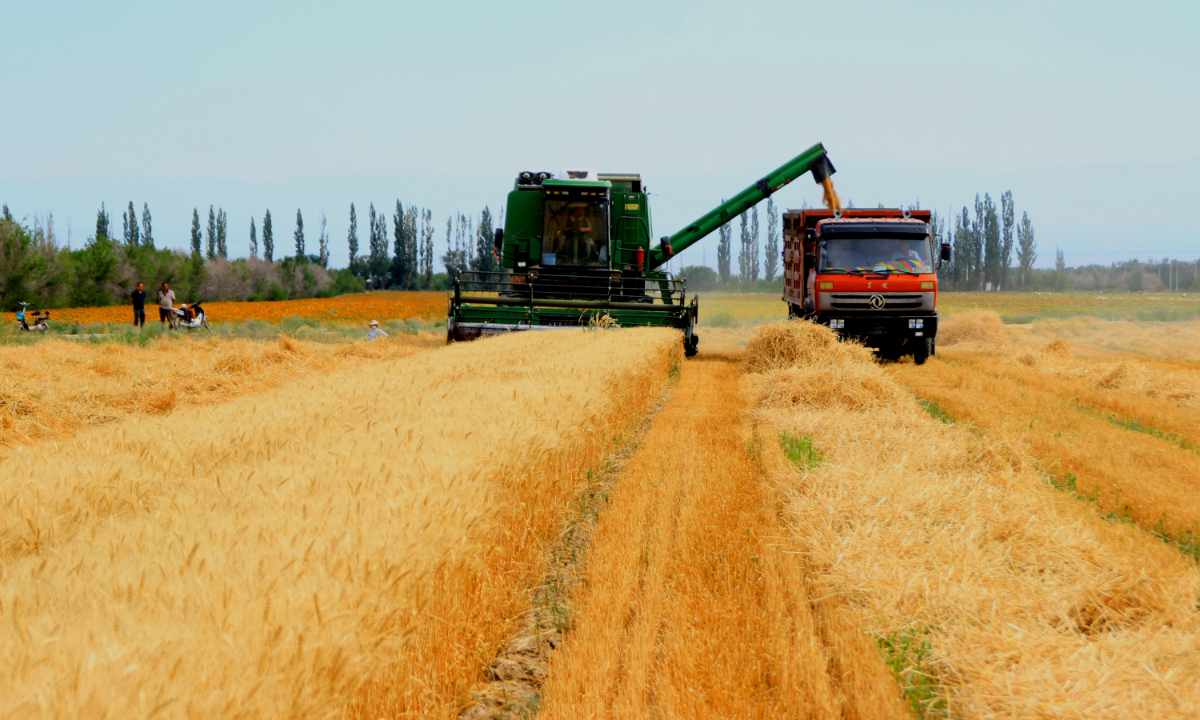 Wheat harvesting machine in Tacheng, Northwest China's Xinjiang Uygur Autonomous Region Photo: VCG 