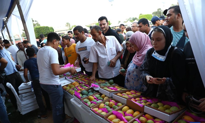 People buy mangoes during a mango festival in Ismailia province, Egypt, on Aug. 19, 2022.Photo:Xinhua