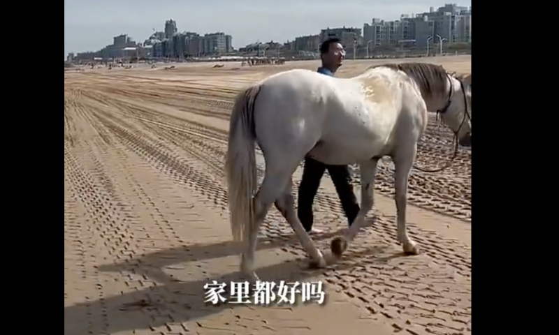 A young man surnamed Xu, from Heze, East China’s Shandong Province, set off from Spain in February and planned to ride all the way back home. Photo of Xu and his horse. Screenshot of Shandong Radio and Television