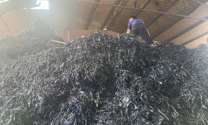 A worker is processing the black film waste at a factory in Qujing. Photo: Xie Wenting/GT