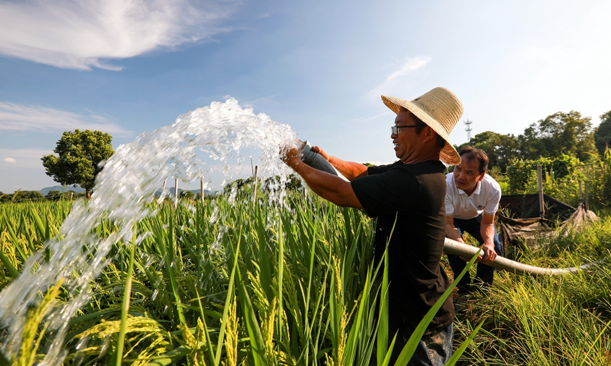Village officials and villagers irrigate farmland with water from a drought-resistant well in Yincun village in Ji'an, Jiangxi Province, on August 15, 2022. Photo: VCG