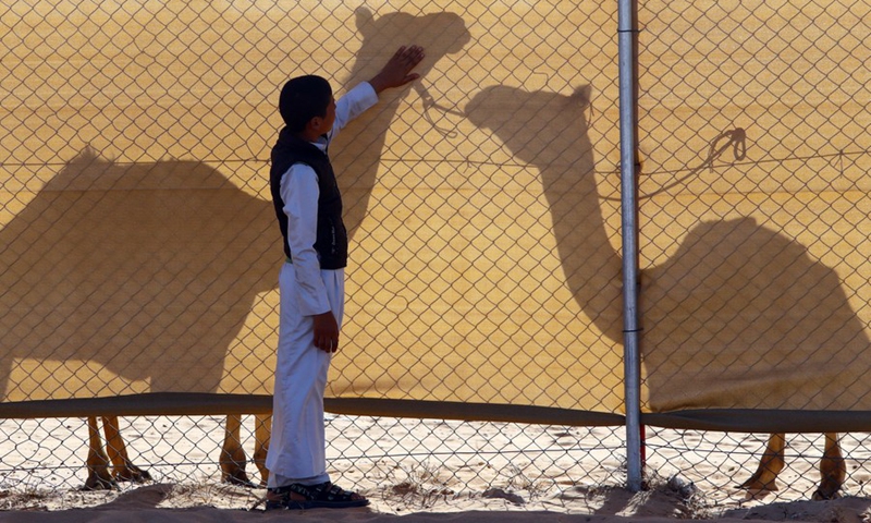 A camel trainer waits with camels before competing in a camel race in El Alamein City, Egypt, on Aug. 23, 2022.(Photo: Xinhua)