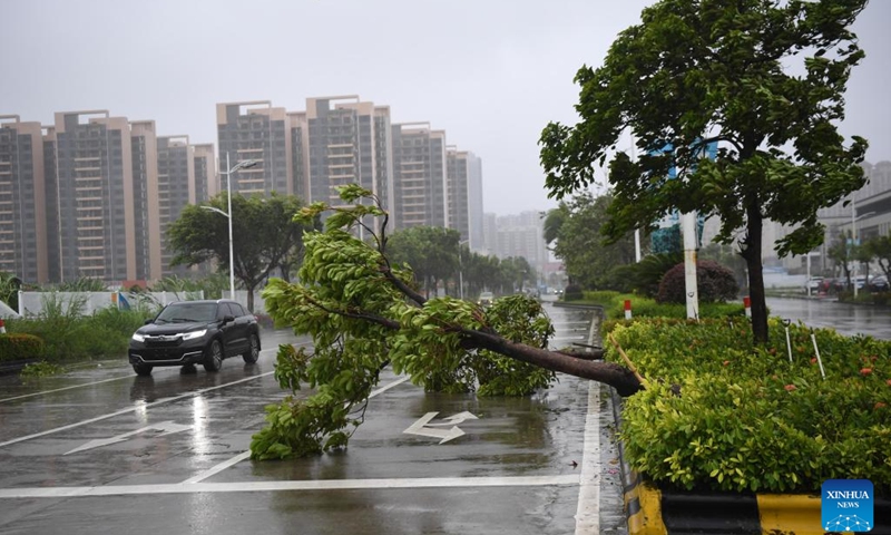 Photo taken on Aug. 25, 2022 shows fallen trees in Yangjiang City, south China's Guangdong Province.(Photo: Xinhua)