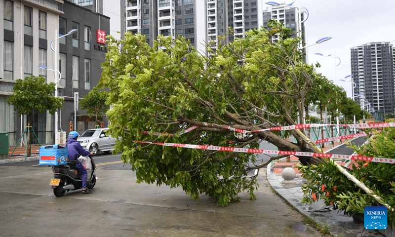 A deliveryman passes by a fallen tree in Yangjiang City, south China's Guangdong Province, Aug. 25, 2022.(Photo: Xinhua)