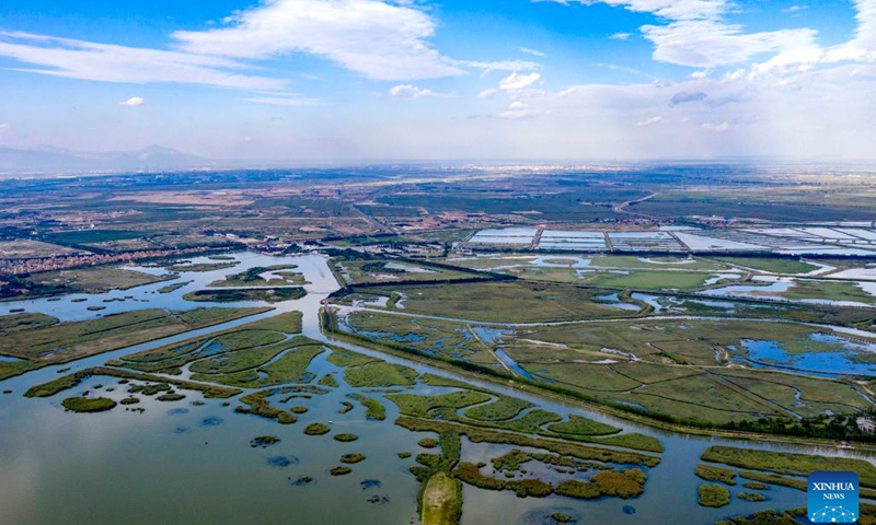 Aerial photo taken on Aug. 28, 2022 shows the scenery at the Shahu Lake scenic spot in Shizuishan, northwest China's Ningxia Hui Autonomous Region.(Photo: Xinhua)