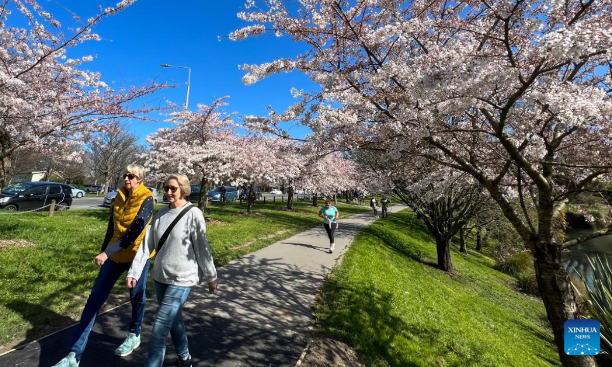 People walk under cherry trees in Hagley Park in Christchurch, New Zealand, Sep 17, 2022. Photo:Xinhua