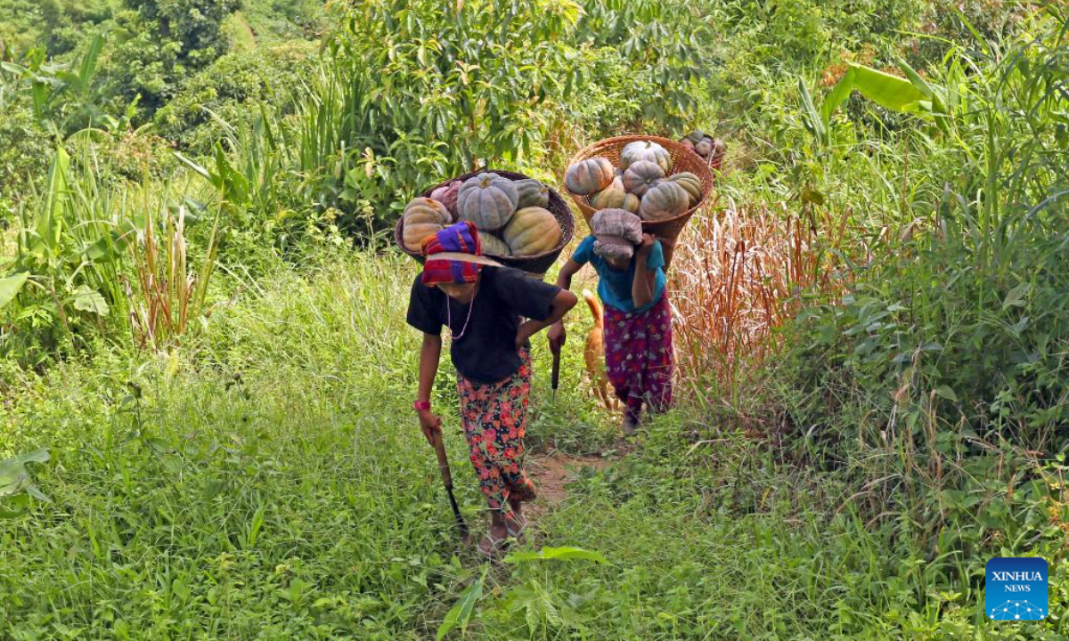 Farmers carry baskets of pumpkins at a village in Chattogram Hill Tracts region in Bangladesh on Sep 12, 2022. Photo:Xinhua