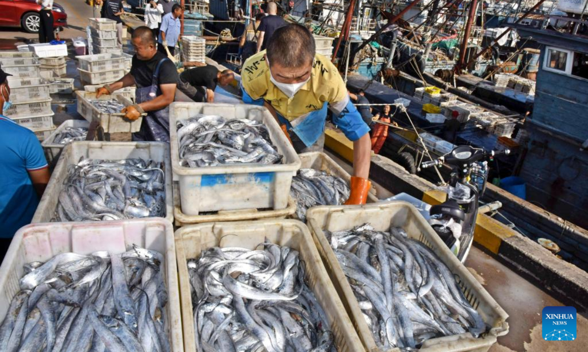 A fish dealer loads his procurement at Jimiya fishing port in Xihai'an (West Coast) New Area in Qingdao, east China's Shandong Province, Sep 7, 2022. Fully loaded fishing ships returned to the port from their first sails after a four-month fishing ban lifted not long ago. Photo:Xinhua
