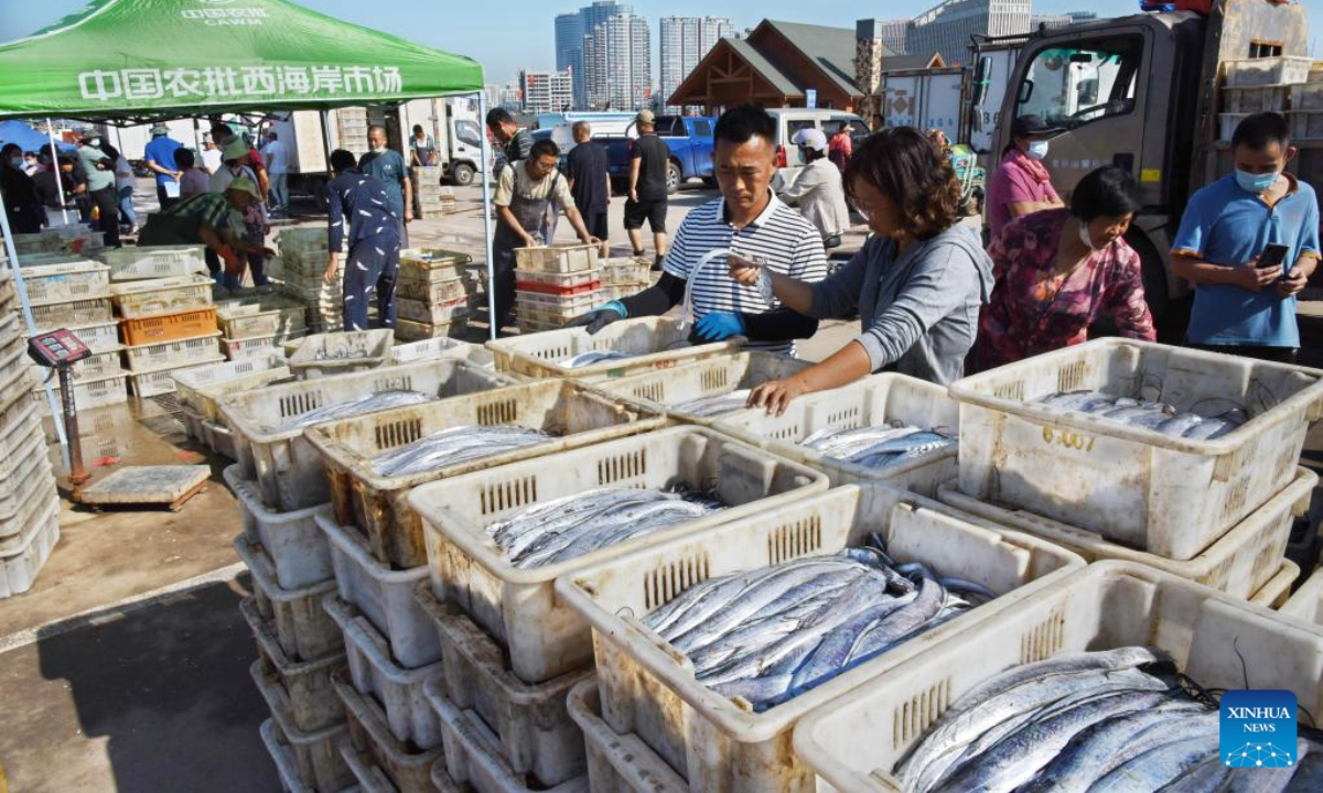 Fish dealers make procurement at Jimiya fishing port in Xihai'an (West Coast) New Area in Qingdao, east China's Shandong Province, Sep 7, 2022. Fully loaded fishing ships returned to the port from their first sails after a four-month fishing ban lifted not long ago. Photo:Xinhua