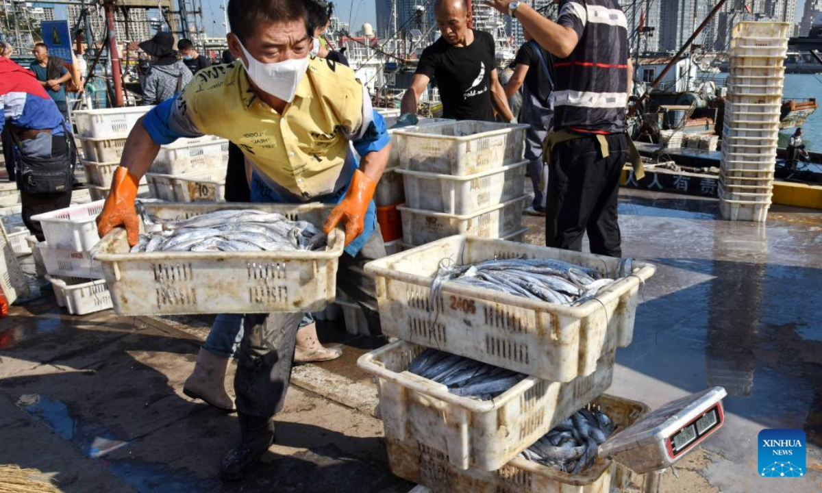 Fishers unload their catches at Jimiya fishing port in Xihai'an (West Coast) New Area in Qingdao, east China's Shandong Province, Sep 7, 2022. Fully loaded fishing ships returned to the port from their first sails after a four-month fishing ban lifted not long ago. Photo:Xinhua