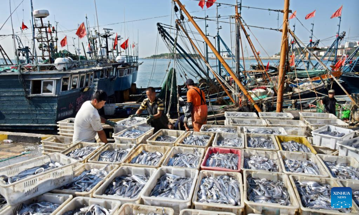 Fishers unload their catches at Jimiya fishing port in Xihai'an (West Coast) New Area in Qingdao, east China's Shandong Province, Sep 7, 2022. Fully loaded fishing ships returned to the port from their first sails after a four-month fishing ban lifted not long ago. Photo:Xinhua