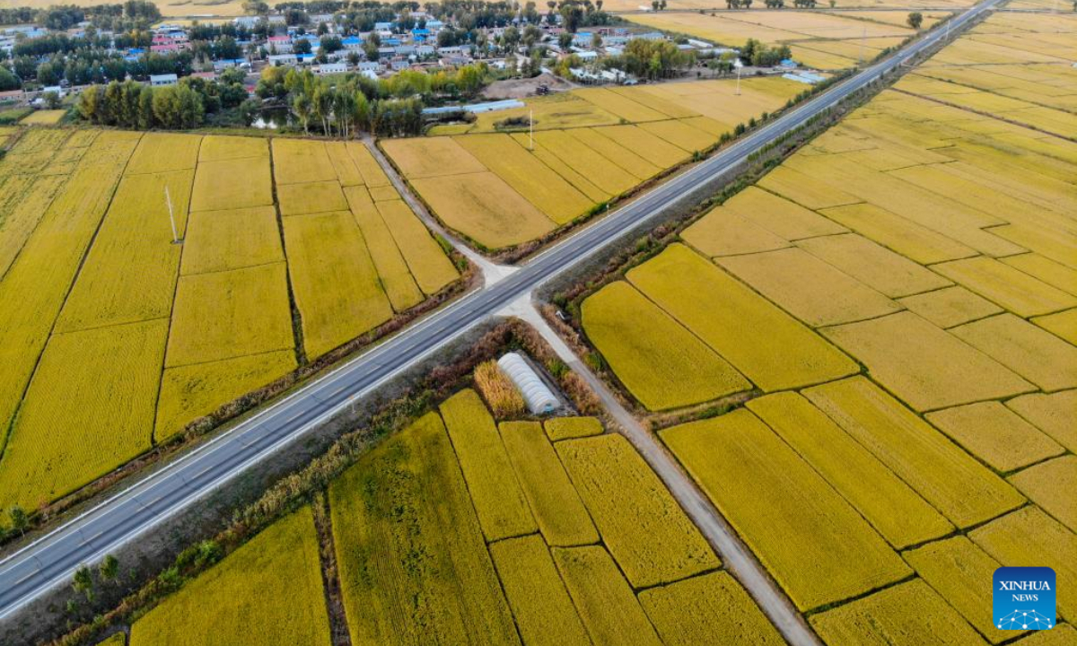 Aerial photo taken on Sep 15, 2022 shows rice fields in Gannan County of Qiqihar, northeast China's Heilongjiang Province. Photo:Xinhua