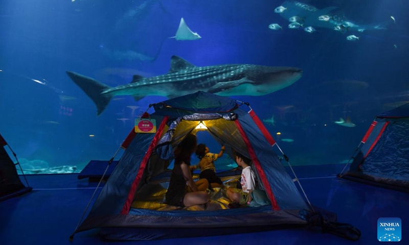 Visitors observe whale sharks at Chimelong Ocean Kingdom in Zhuhai, south China's Guangdong Province, Aug. 27, 2022. Chimelong Ocean Kingdom in Zhuhai of south China's Guangdong Province has launched the night camping service at its whale shark hall. Visitors could spend the night in tents here and observe the giant creatures closely. With the instruction given by staff members, people can also learn more knowledge about the whale shark, which is the world's largest fish species.(Photo: Xinhua)