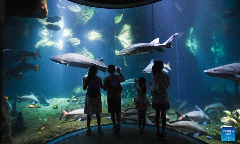 Visitors view marine life at Chimelong Ocean Kingdom in the evening in Zhuhai, south China's Guangdong Province, Aug. 27, 2022. Chimelong Ocean Kingdom in Zhuhai of south China's Guangdong Province has launched the night camping service at its whale shark hall. Visitors could spend the night in tents here and observe the giant creatures closely. With the instruction given by staff members, people can also learn more knowledge about the whale shark, which is the world's largest fish species.(Photo: Xinhua)