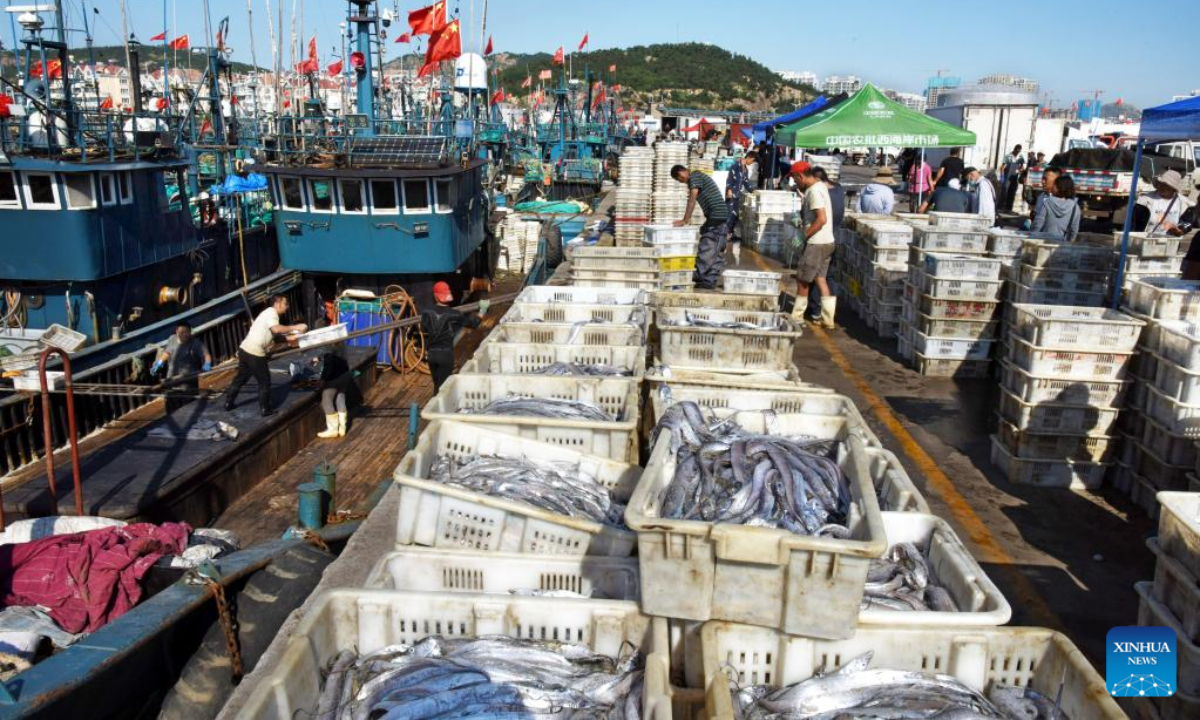 Fishers unload their catches at Jimiya fishing port in Xihai'an (West Coast) New Area in Qingdao, east China's Shandong Province, Sep 7, 2022. Fully loaded fishing ships returned to the port from their first sails after a four-month fishing ban lifted not long ago. Photo:Xinhua